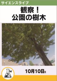 サイエンスライブ「観察!公園の樹木」