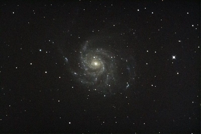 Ｍ１０１