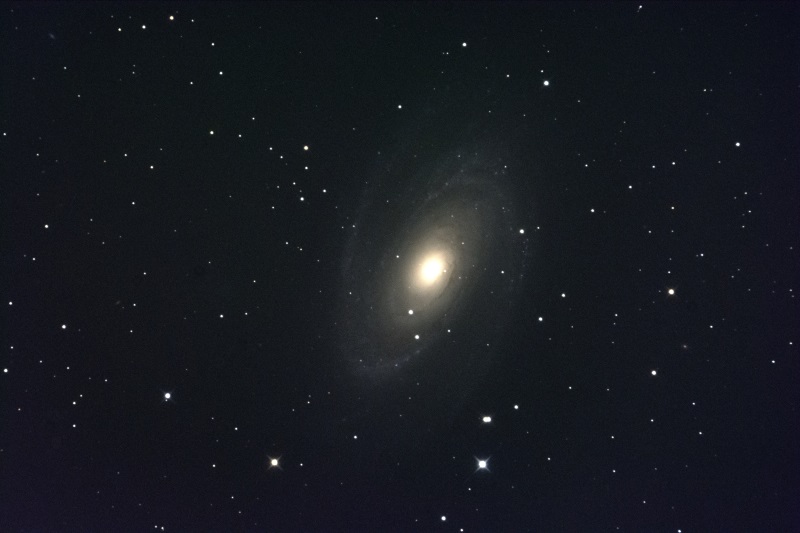 Ｍ８１