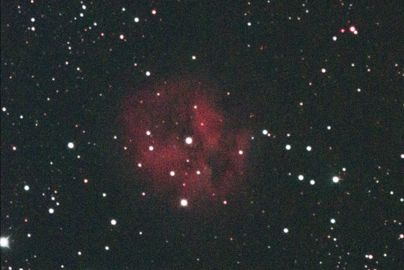 IC5146