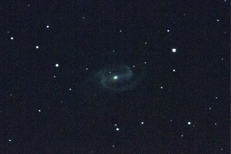 NGC1300