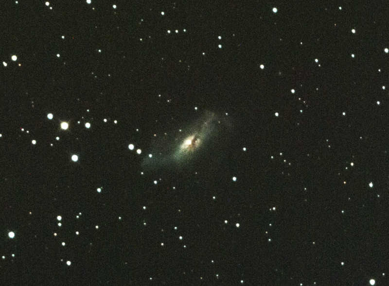 NGC2146