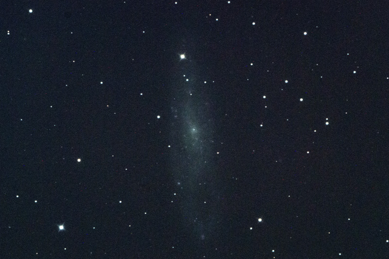 NGC247