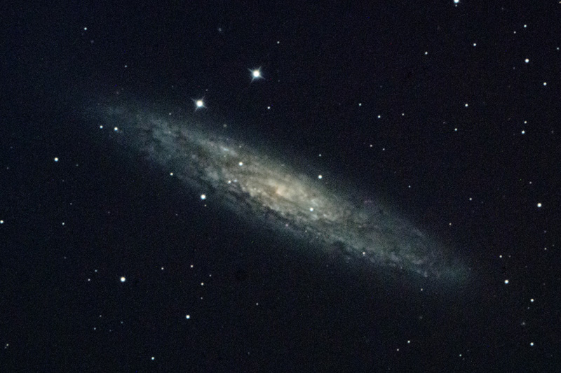 NGC253