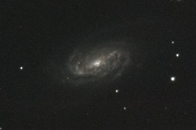 NGC2903