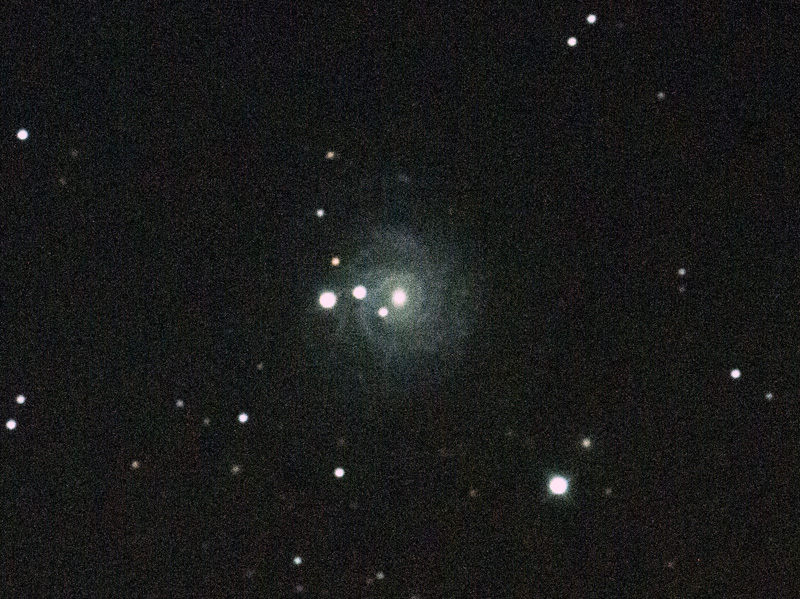 NGC3344