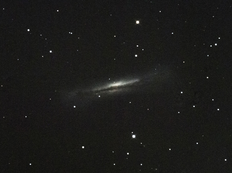 NGC3628