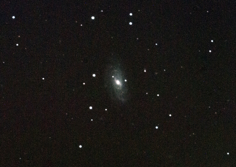 NGC3953