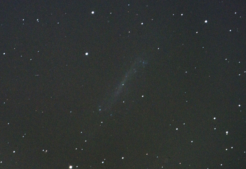 NGC4236