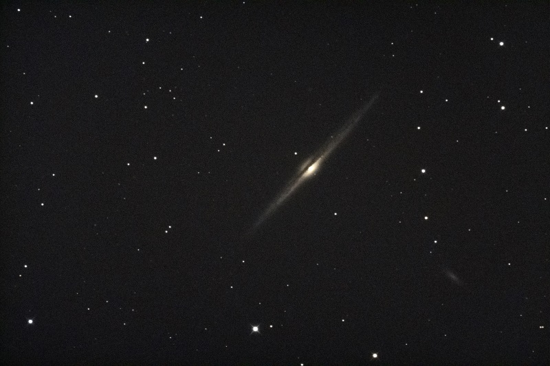 NGC4565