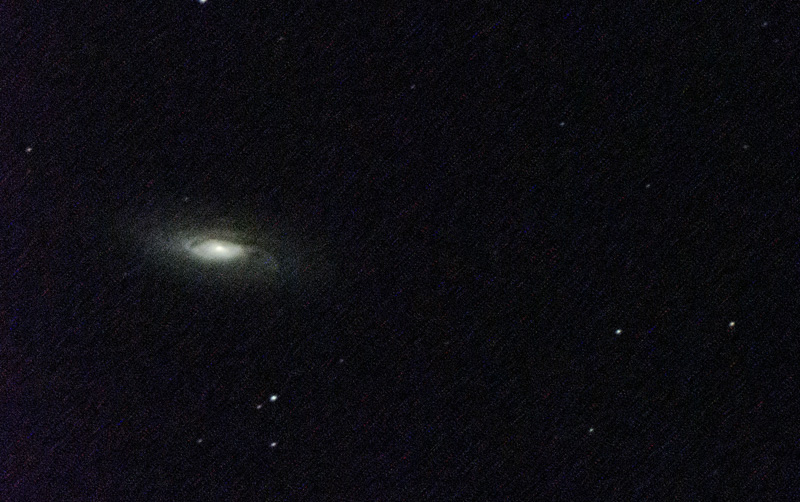 NGC5005