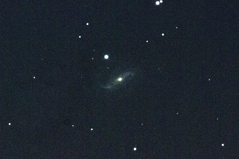 NGC613