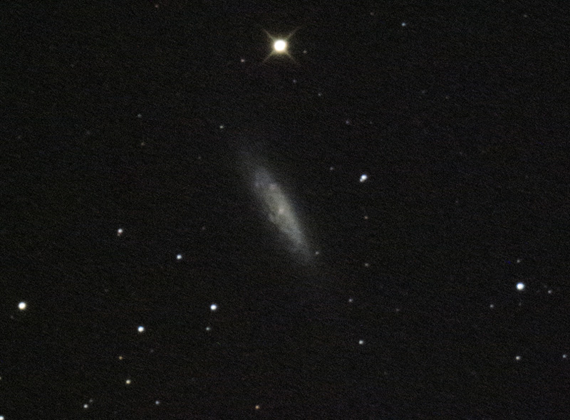 NGC6503