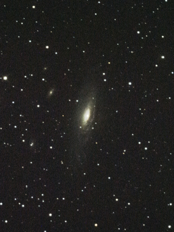 NGC7331