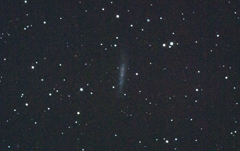 NGC784