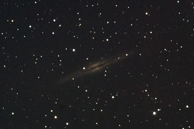 NGC891